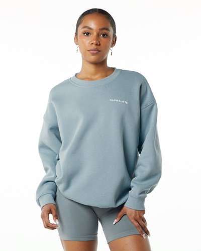 Alphalete Brushed Fleece Crewneck Svetrove Saty Modre | 624-TDRLWM