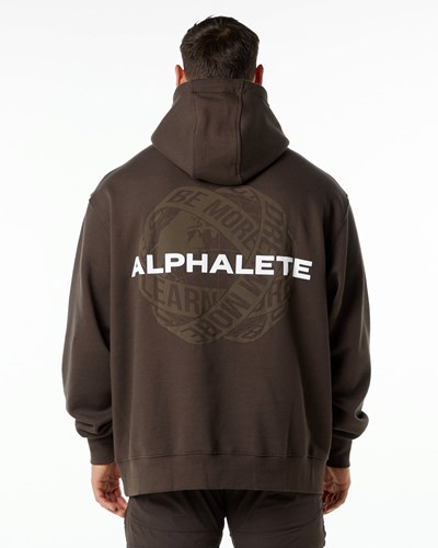 Alphalete Brushed Fleece Grafika Hoodie Hnede | 062-LYUOVW