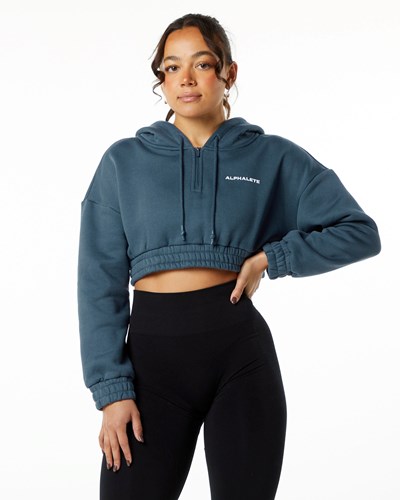 Alphalete Brushed Fleece Half-Zip Crop Hoodie Modre | 281-CIPQWB