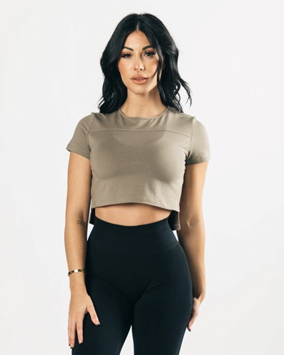 Alphalete Cropped Premium Kratke Sleeve Haze | 368-LREPXK