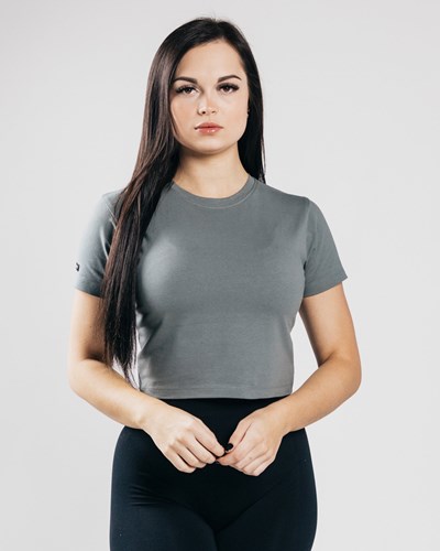 Alphalete Fitted Performance Crop Top Concrete | 438-MWFLZO