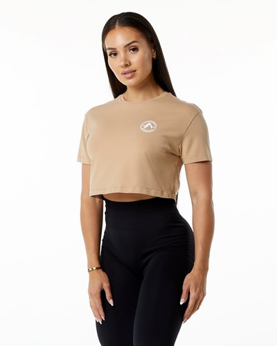 Alphalete Fitted Performance Kratke Sleeve Crop Taupe | 159-FJTSPM