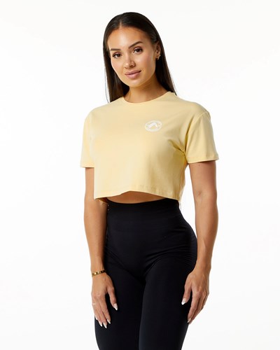 Alphalete Fitted Performance Kratke Sleeve Crop Daffodil | 279-HVBRLP