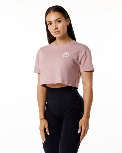 Alphalete Fitted Performance Kratke Sleeve Crop Mauve | 790-XJEDPN