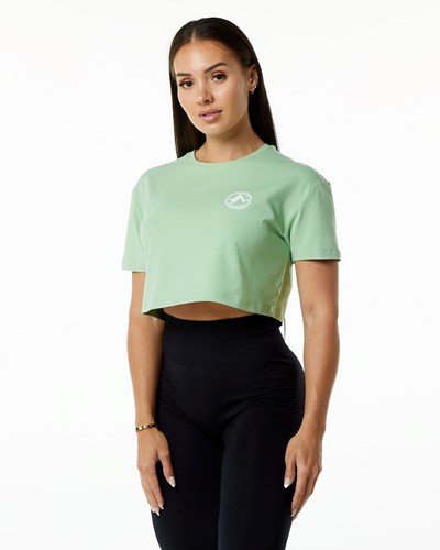 Alphalete Fitted Performance Kratke Sleeve Crop Pistachio | 947-ASCXWN