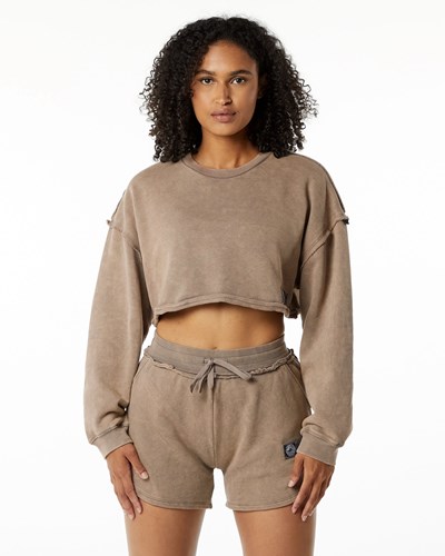 Alphalete Heavyweight Washed Terry Crop Pullover Smokey Quartz | 124-RKPJXS