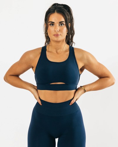 Alphalete High-Impact Seamless Sports Bra Modre | 093-WPDBVO