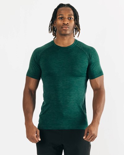 Alphalete High Performance Seamless Kratke Sleeve Tee Darkest Pine | 567-WIJKUA