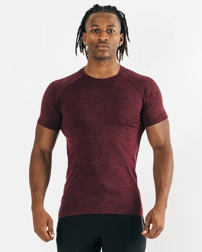 Alphalete High Performance Seamless Kratke Sleeve Tee Čierne | 804-LMQAXU