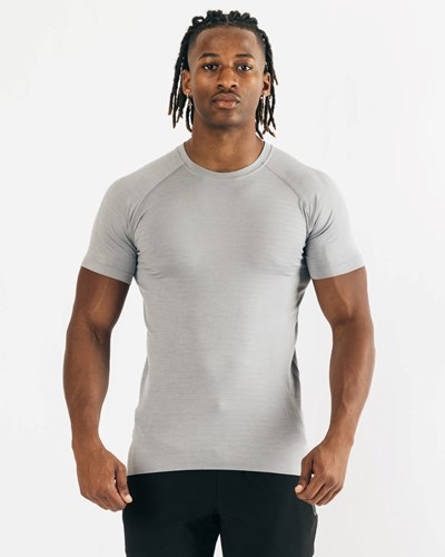 Alphalete High Performance Seamless Kratke Sleeve Tee Siva | 931-FIKVAU