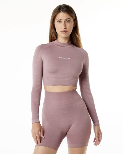 Alphalete High Performance Seamless Long Sleeve Tee Mauve | 451-CJGFON