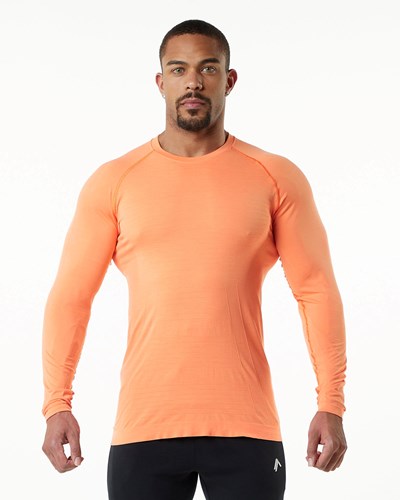 Alphalete High Performance Seamless Long Sleeve Tee Faded Day Tripper | 489-PAKRXB