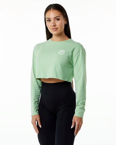 Alphalete Oversized Performance Long Sleeve Crop Pistachio | 216-QBUCXA