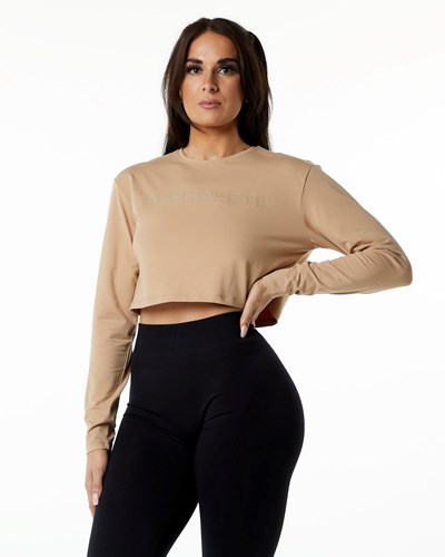 Alphalete Oversized Performance Long Sleeve Crop Taupe | 234-HWRBAL