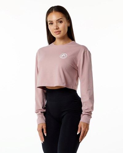 Alphalete Oversized Performance Long Sleeve Crop Mauve | 961-THMWFE