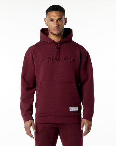 Alphalete Relaxed Interlock Knit Hoodie Bordove | 637-WEXHMK