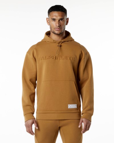 Alphalete Relaxed Interlock Knit Hoodie Almond | 814-TFQGNY