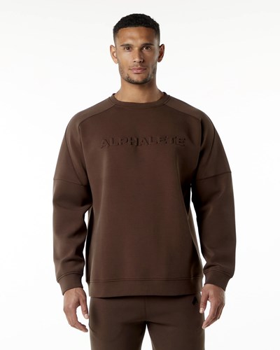 Alphalete Relaxed Interlock Knit Pullover Hnede | 520-PFKNMB