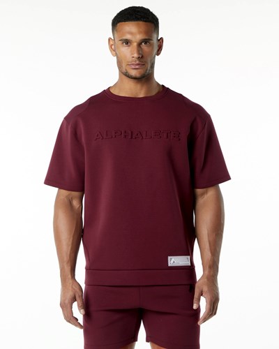 Alphalete Relaxed Interlock Knit Pullover Bordove | 674-KCXQAM