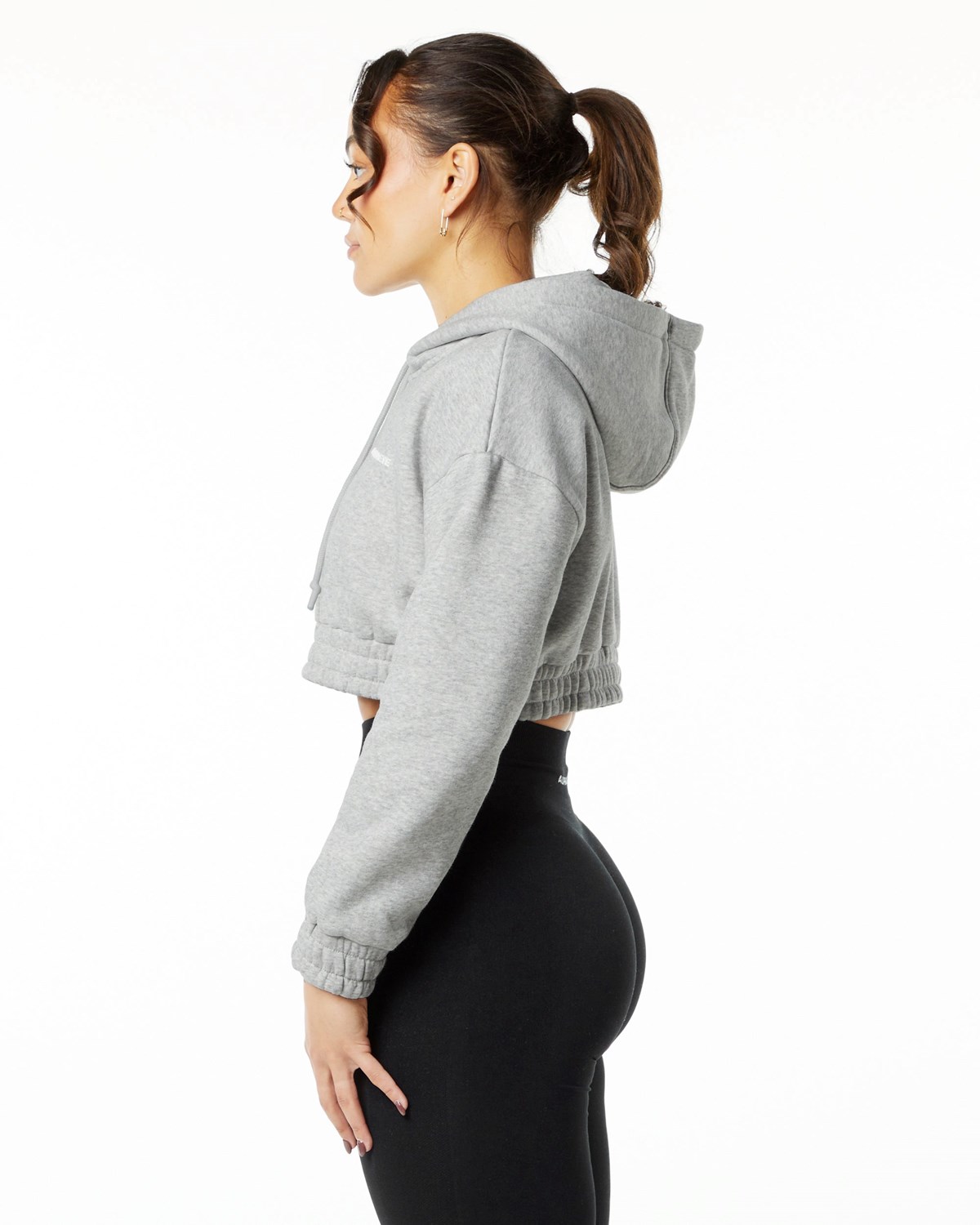 Alphalete Brushed Fleece Half-Zip Crop Hoodie Siva | 584-VMAKYP