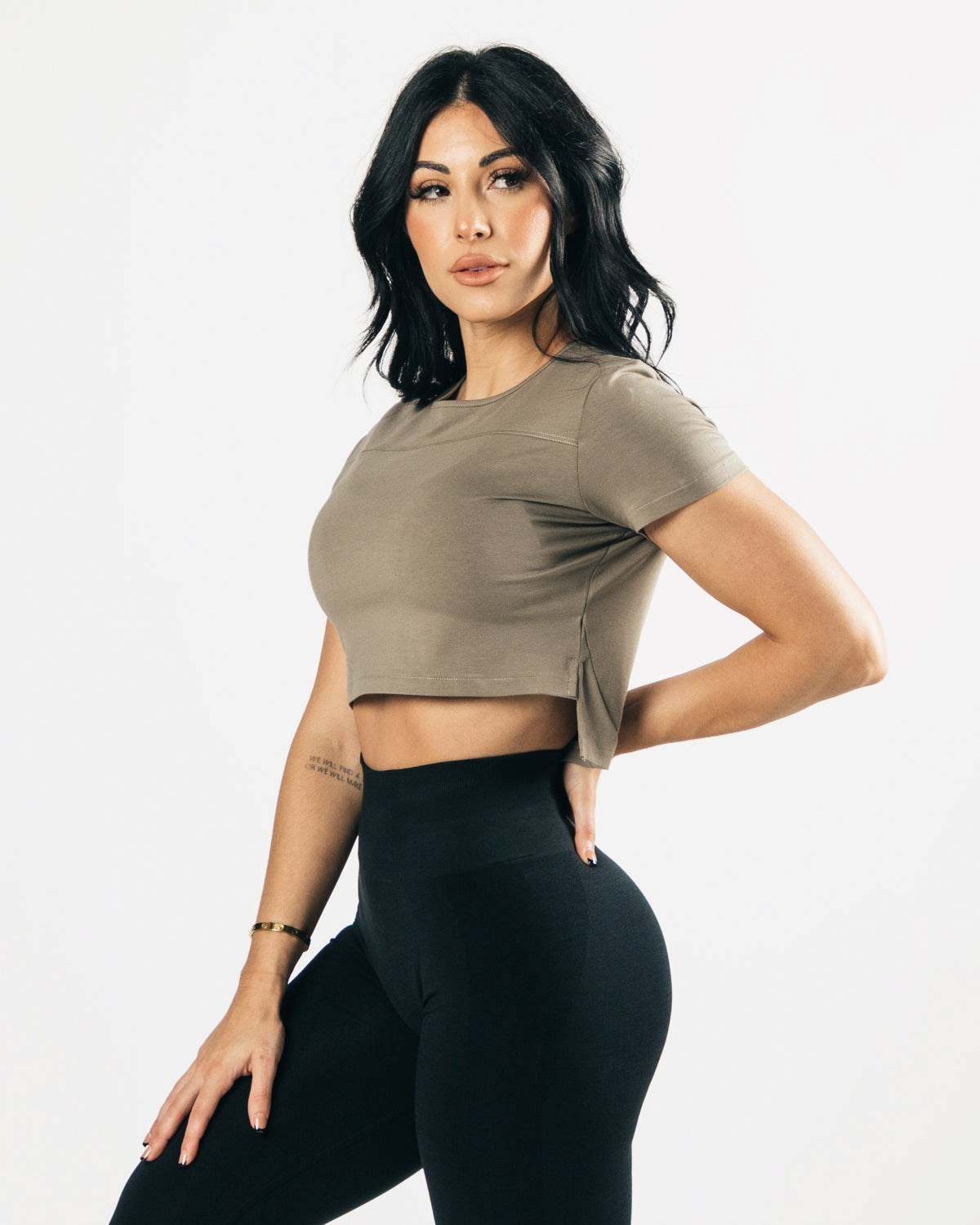 Alphalete Cropped Premium Kratke Sleeve Haze | 368-LREPXK