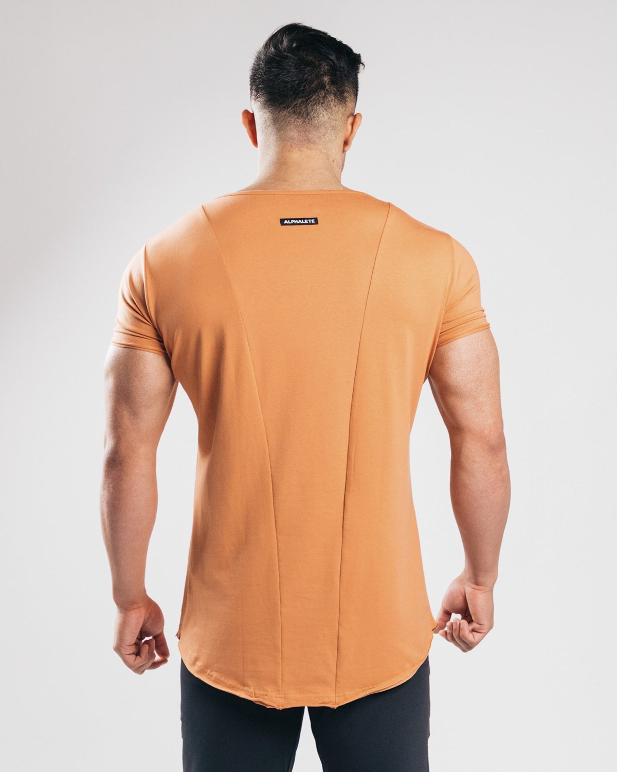 Alphalete Fitted Kratke Sleeve Clay | 420-PXIVLD