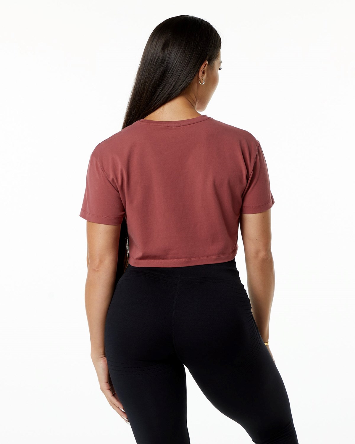 Alphalete Fitted Performance Kratke Sleeve Crop Gingerbread | 481-UVGKED