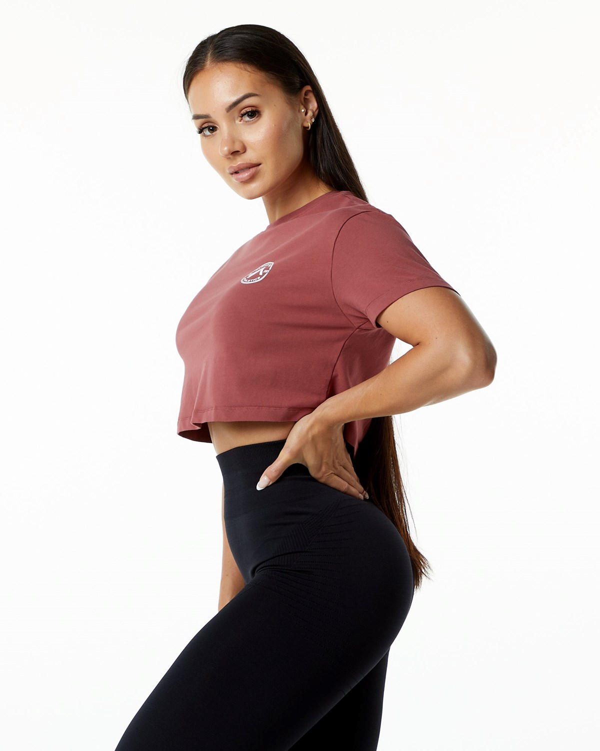 Alphalete Fitted Performance Kratke Sleeve Crop Gingerbread | 481-UVGKED