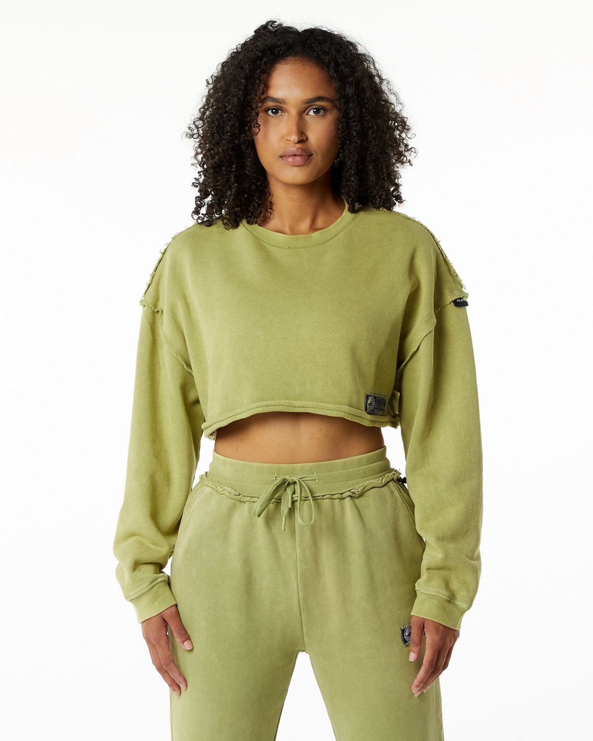 Alphalete Heavyweight Washed Terry Crop Pullover Zelene | 168-JZKXDM