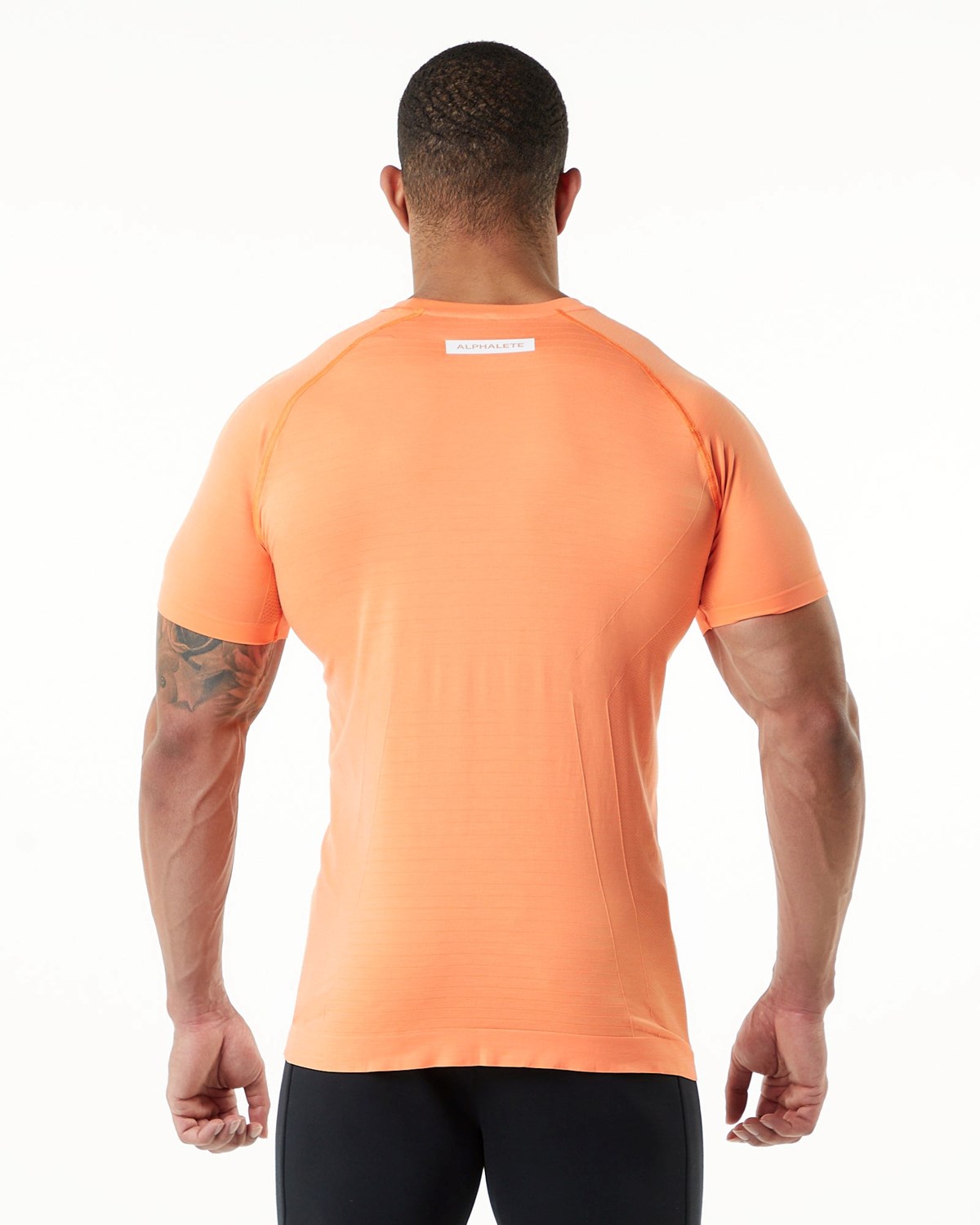 Alphalete High Performance Seamless Kratke Sleeve Tee Faded Day Tripper | 460-ICTKEH