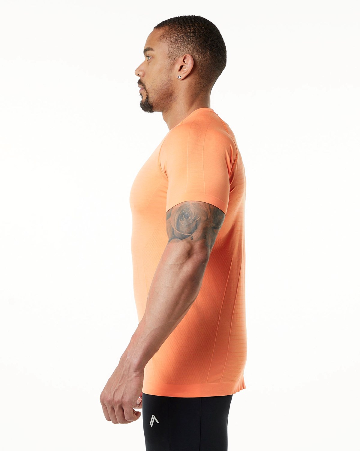 Alphalete High Performance Seamless Kratke Sleeve Tee Faded Day Tripper | 460-ICTKEH