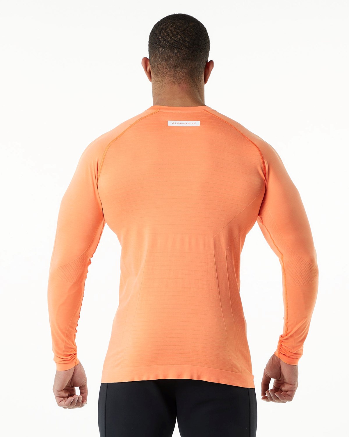 Alphalete High Performance Seamless Long Sleeve Tee Faded Day Tripper | 489-PAKRXB