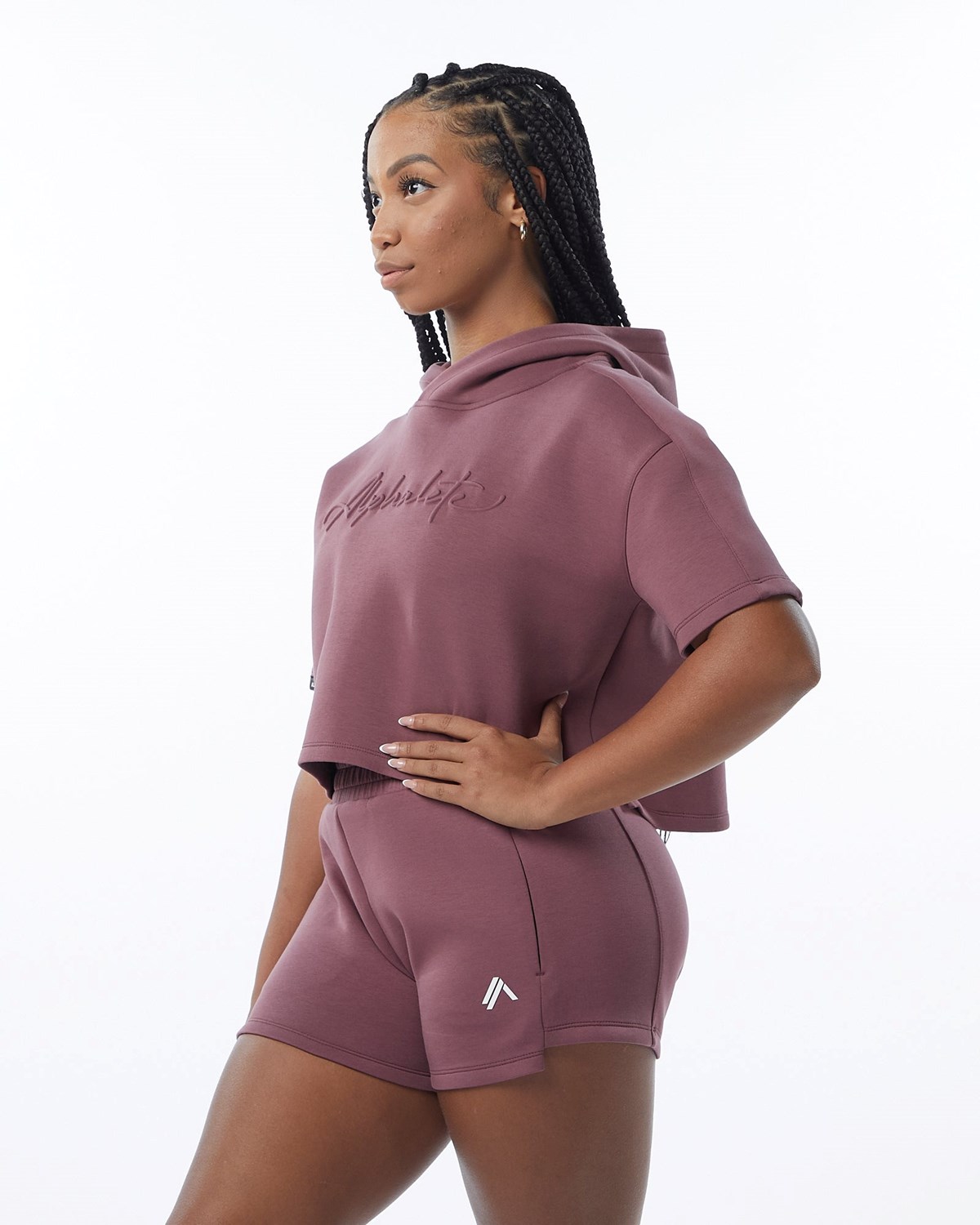 Alphalete Interlock Knit Crop Hoodie Mauve | 425-JSBKCO