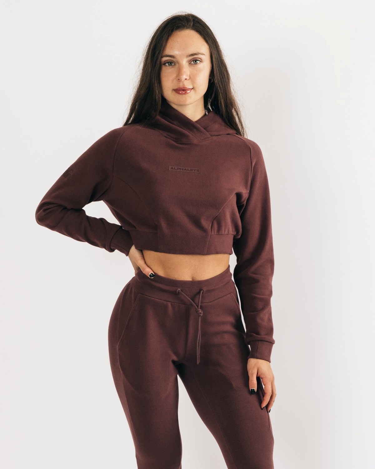 Alphalete Relaxed Single-Brushed Pullover Hoodie Mahogany | 418-SWRGKA